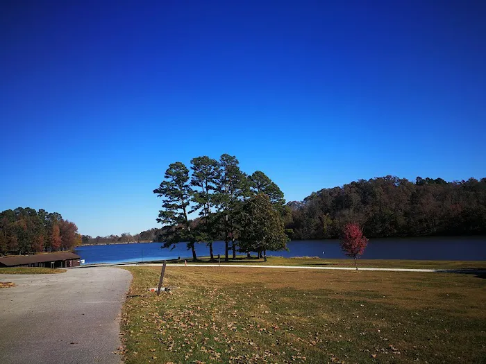 Lake Wedington Campground 6