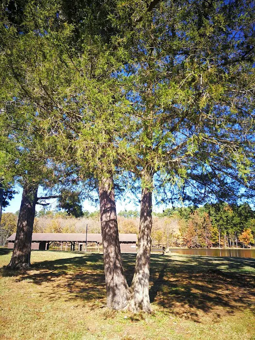 Lake Wedington Campground 8