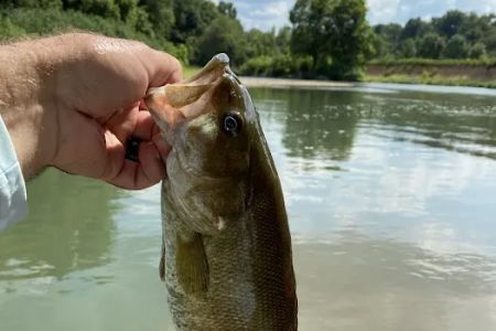 Illinois River RV Park Campground & Floats, Kayaking & Rafting