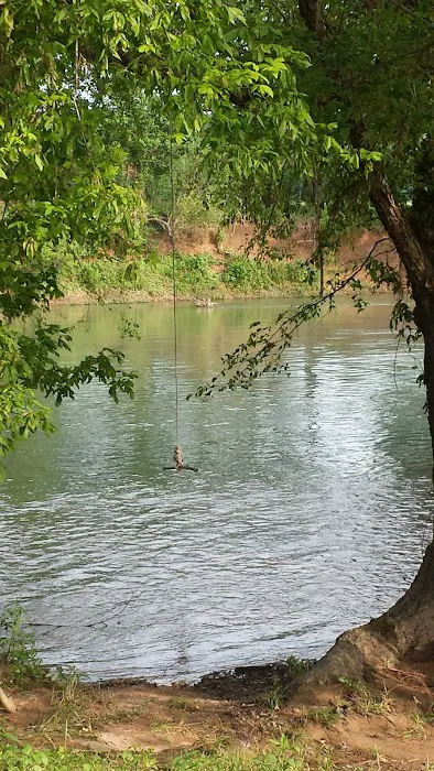 Illinois River Yacht Club and Campground 1