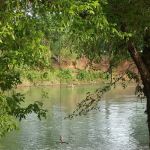 Illinois River Yacht Club and Campground