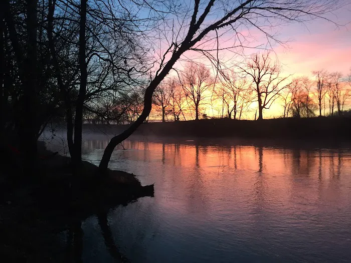 Illinois River Yacht Club and Campground 5