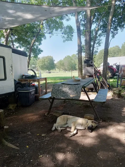 Shady Rest On Flint Creek 6