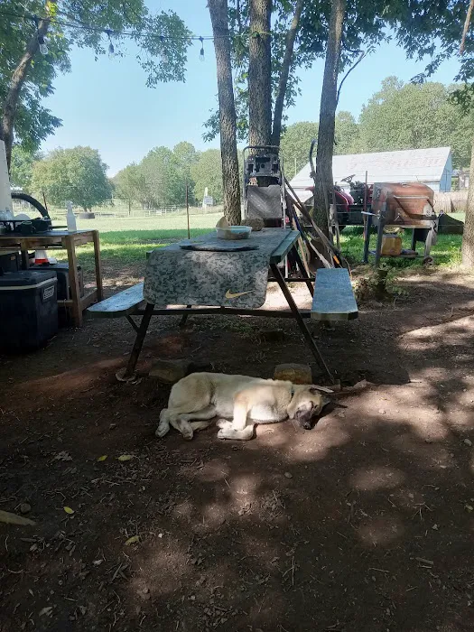 Shady Rest On Flint Creek 10