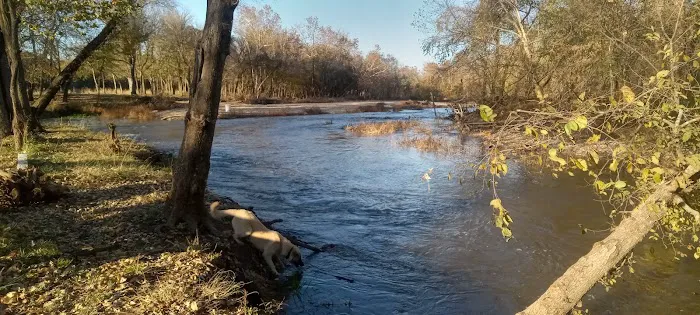 Shady Rest On Flint Creek 8