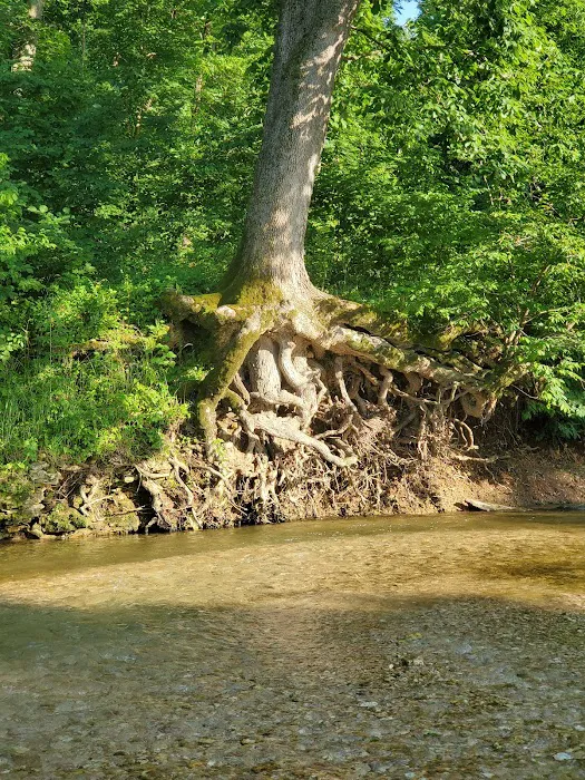 Whippoorwill Camp Ground 3