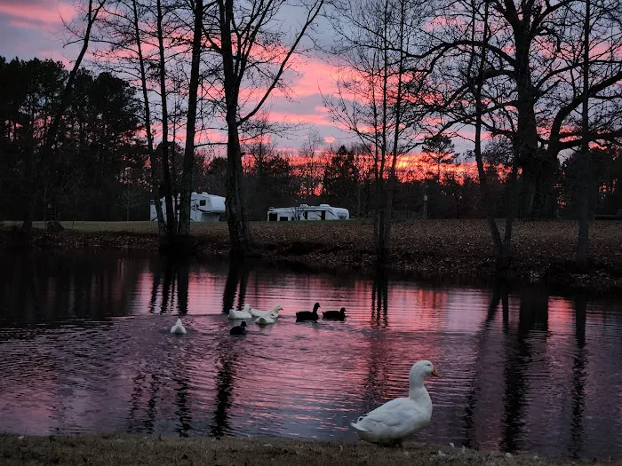 Hickey Town RV Park 5