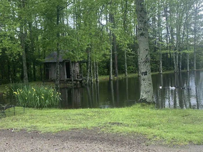 Hickey Town RV Park 3