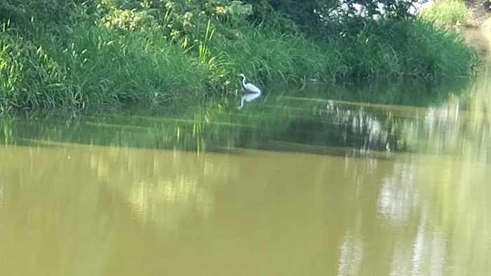 Cane Creek Recreation Area 1