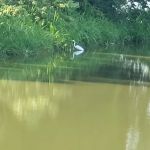 Cane Creek Recreation Area