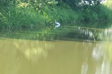 Cane Creek Recreation Area