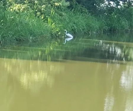 Cane Creek Recreation Area