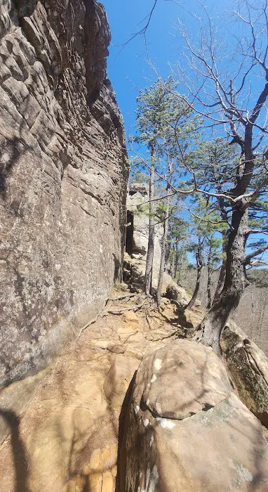 Sam's Throne Campground 3