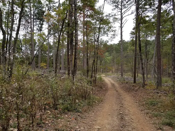 Mack's Pines 6
