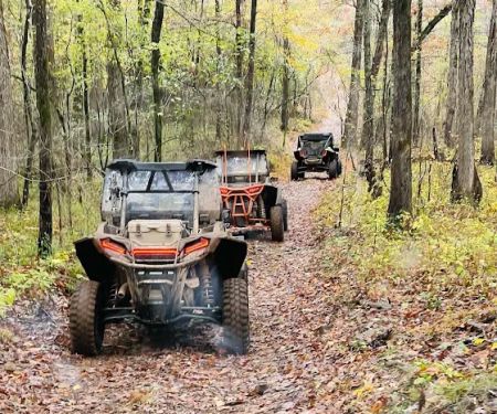 Mack's Pines