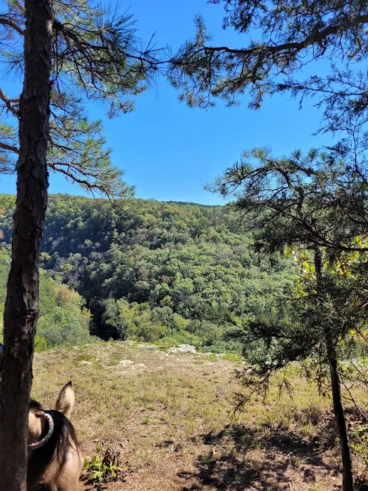 Cowboy Up Trails 8