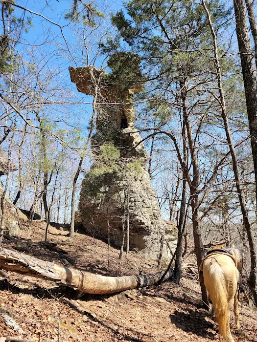 Cowboy Up Trails 7