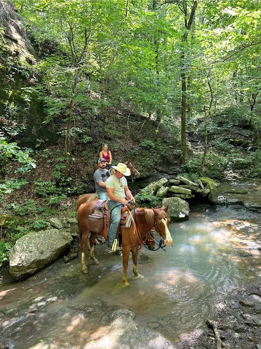 Cowboy Up Trails 3