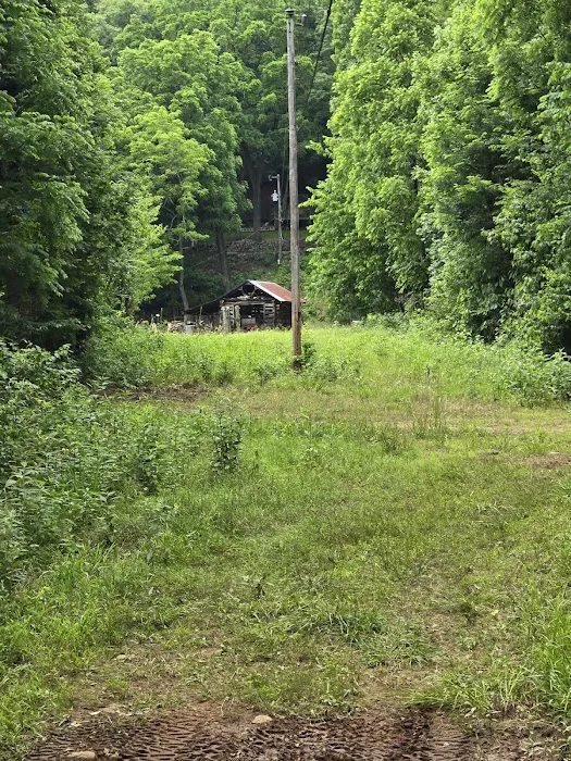 Cowboy Up Trails 10
