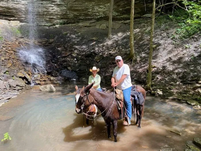 Falling Water Horse Camp 5