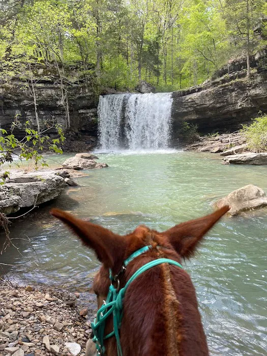 Falling Water Horse Camp 2