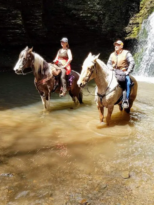 Falling Water Horse Camp 6