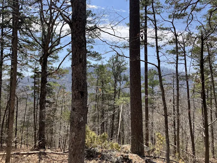 Richland Creek Recreation Area 6