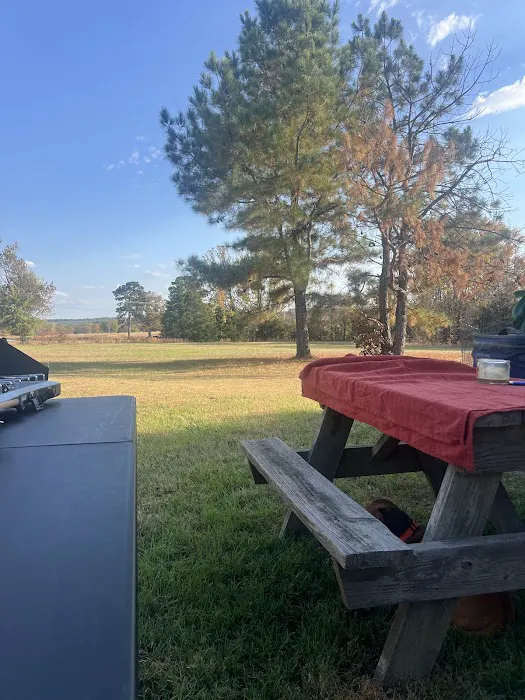 Hillbilly Haven RV Park 4