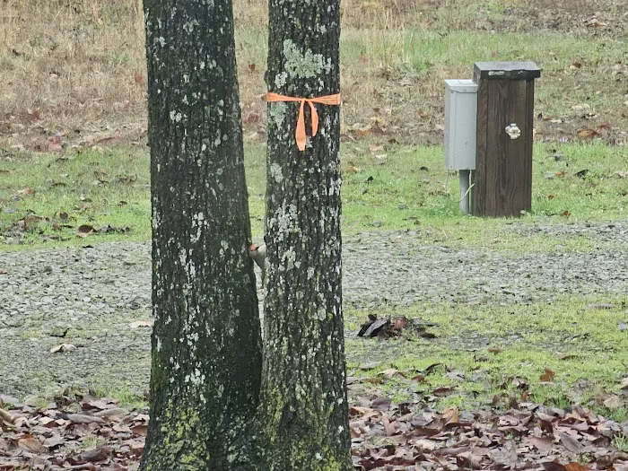 Redbud RV Park 3