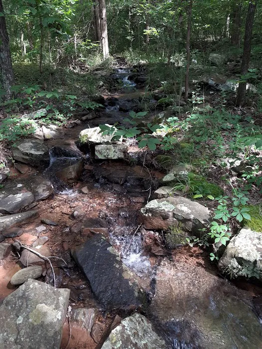 Piney Bay Campground 10