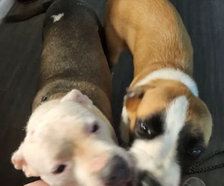 The Crossroads Mobile Home & RV Park