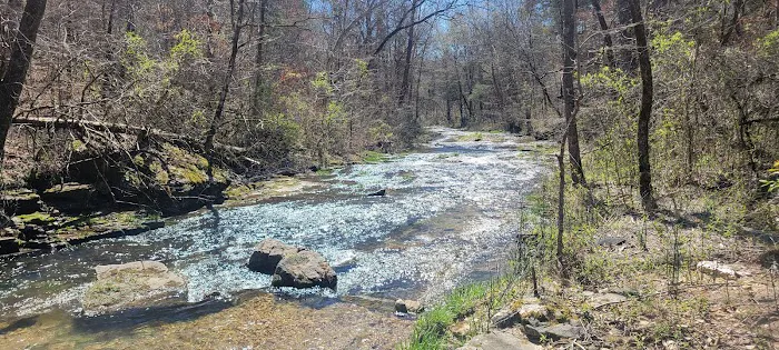 Mt. Hersey Campground 1