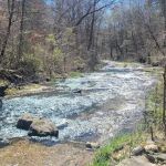 Mt. Hersey Campground