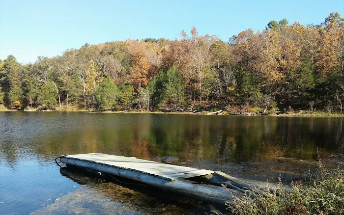 The Wildlife Campground 4