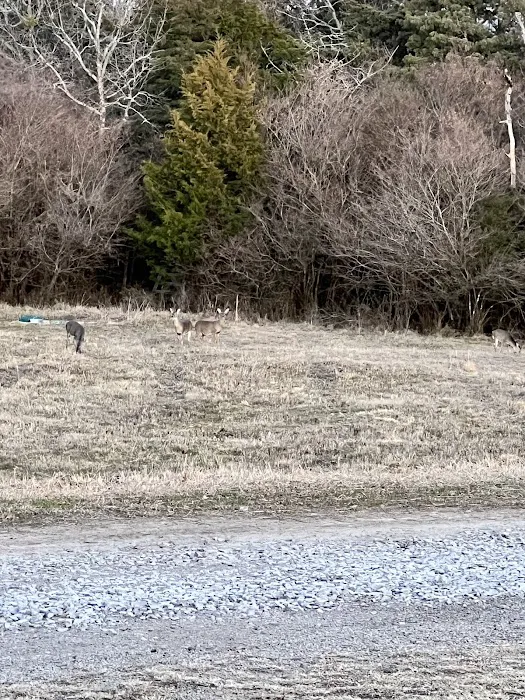 Eagle Crest RV Park 4