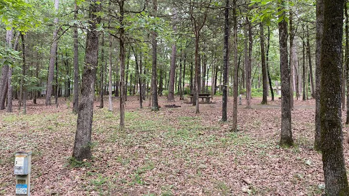 Shoal Bay RV & Campsites 8