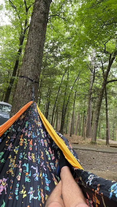 Shoal Bay RV & Campsites 6