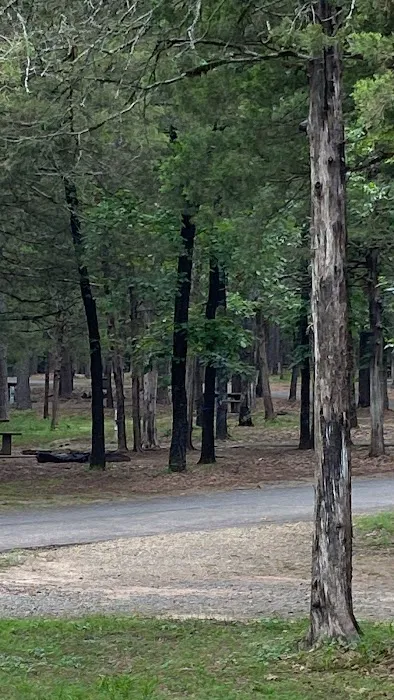 Shoal Bay RV & Campsites 5