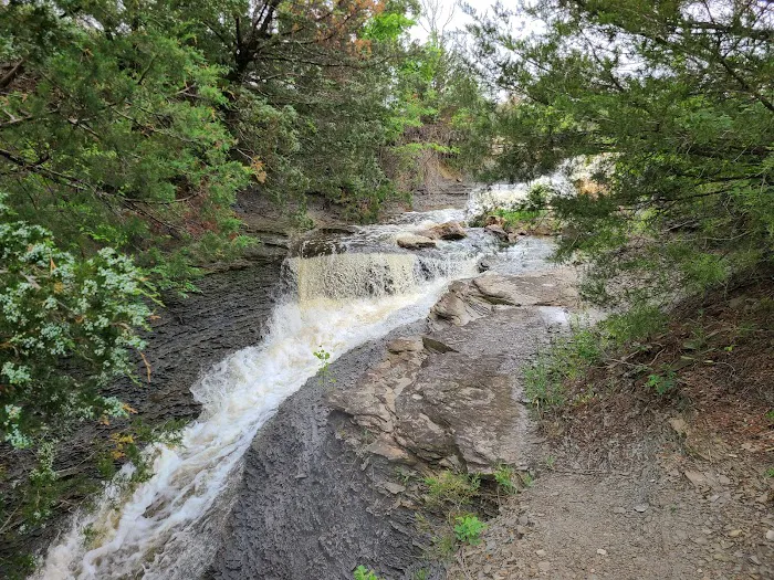 Neosho State Lake 8