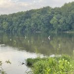 Twin Bridges Dock