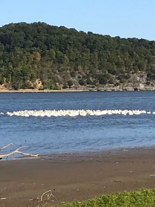 Osage Hollow RV Resort LLC 7