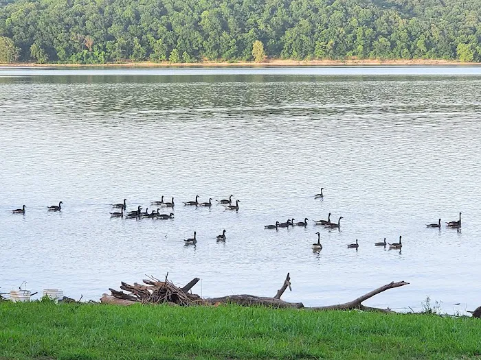 Osage Hollow RV Resort LLC 8