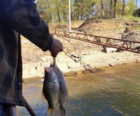 Ice Box Bluff Resort