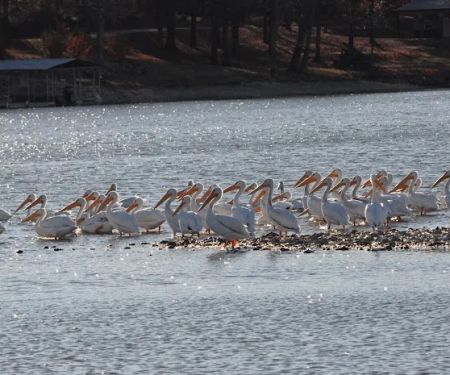 Epperson's at Hudson Bay Resort