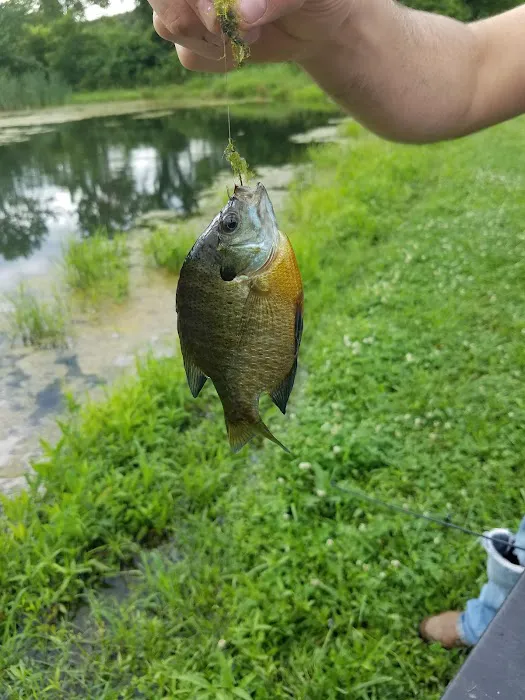Tradin' at the Ranch 1