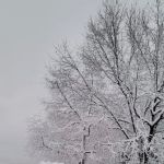 Ozark View RV Park