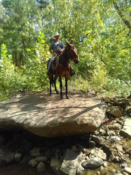 Lonesome D Horse Camp 5