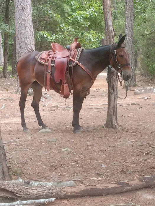 Lonesome D Horse Camp 4