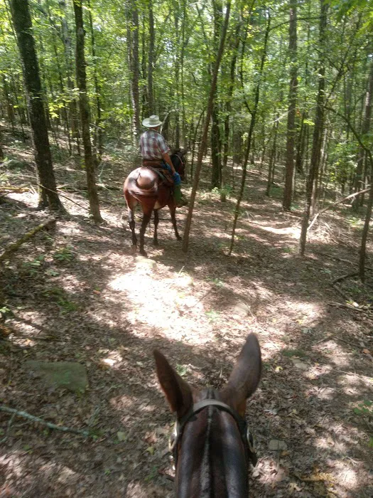 Lonesome D Horse Camp 8