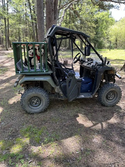 Sorghum Hollow Horse Camp 6